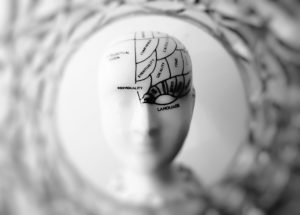 Le cerveau et la violence